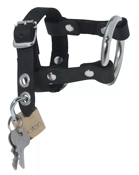 Locking Leather Cock and Ball Harness