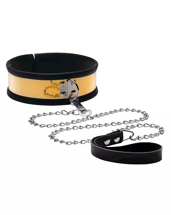 Golden Metal Leash and Collar Set
