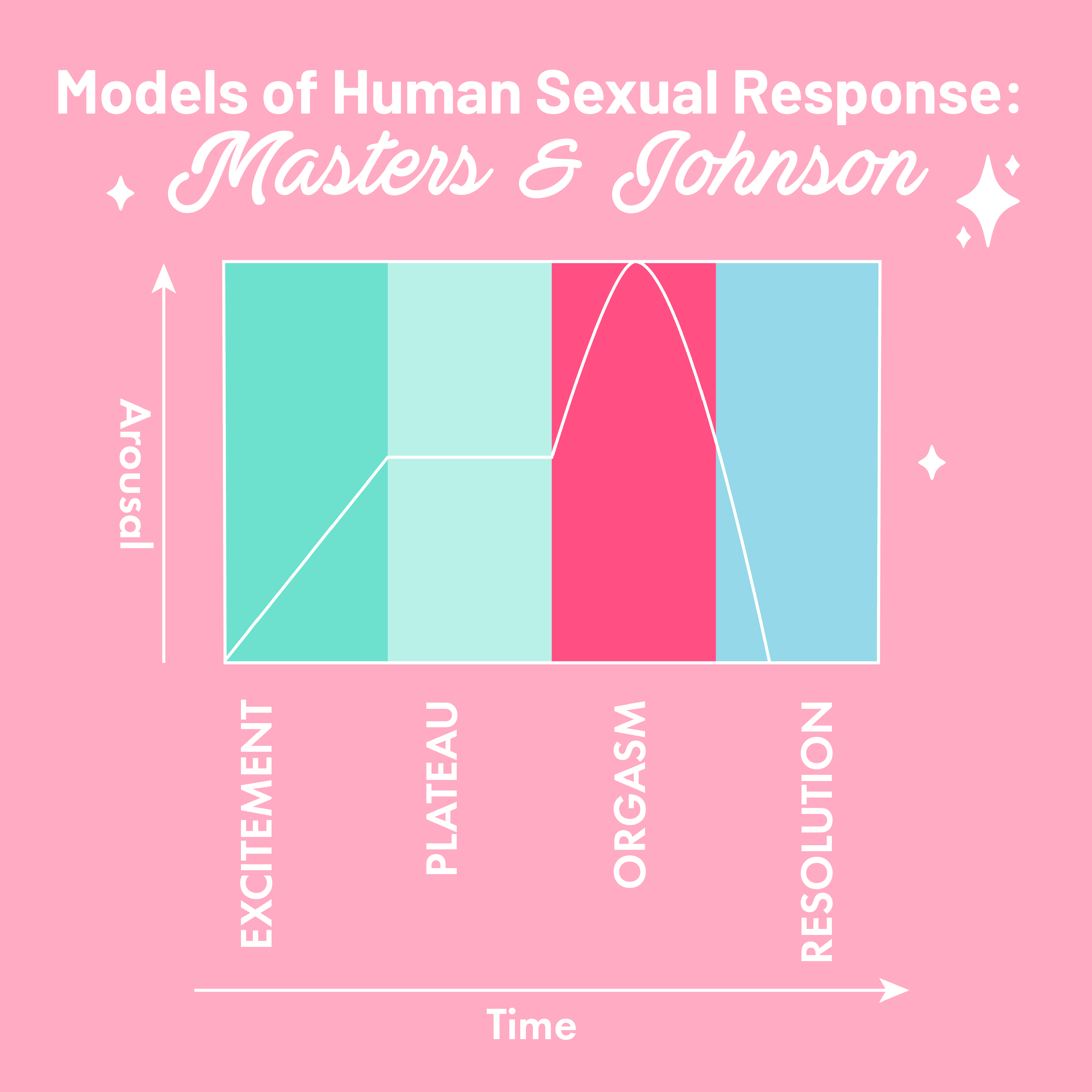 Masters and Johnson Sexual Respons Cycle.png