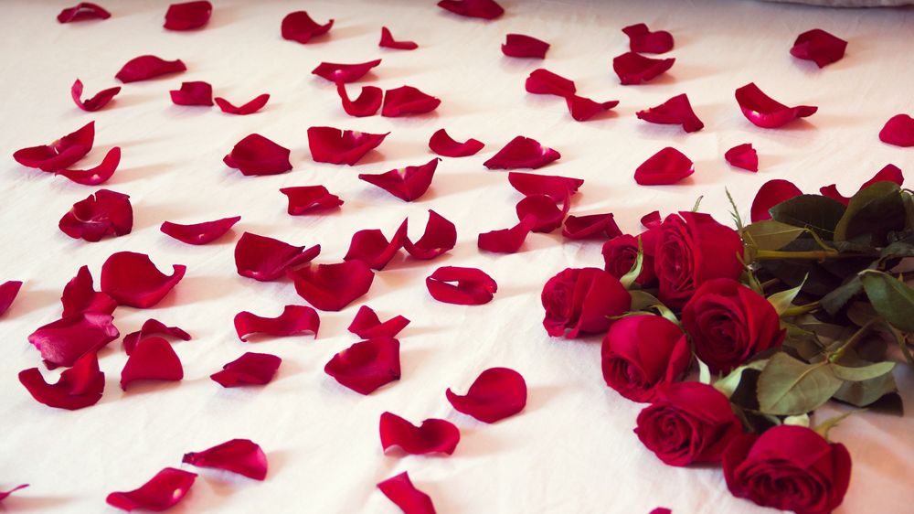 Romantic Sex Toys to Set the Mood