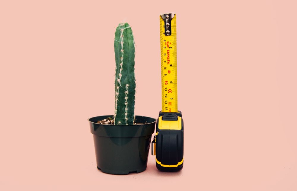 The Best Products for Penis Enlargement (That Can Actually Help)