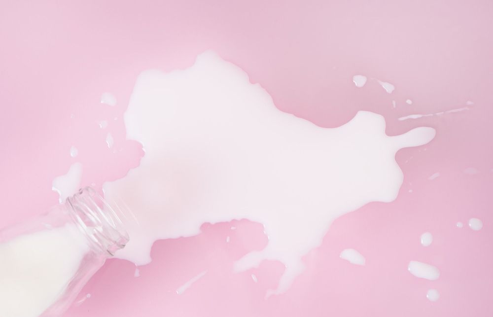 What Can I Put Inside My Squirting Dildo? (& What To Avoid)